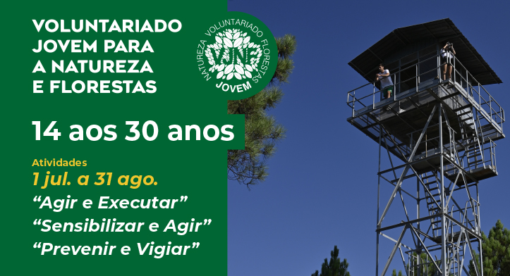 Programa de Voluntariado para a Floresta